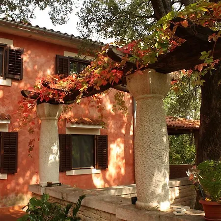 Natural Art House 펜션 Višnjan